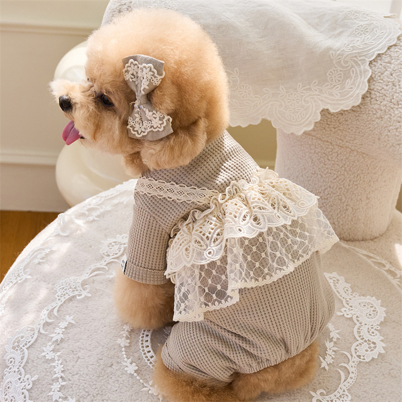 Pet Spring Jumpsuit Cute Lace  – Lace Teddy Lingerie Bewertung und Preis
