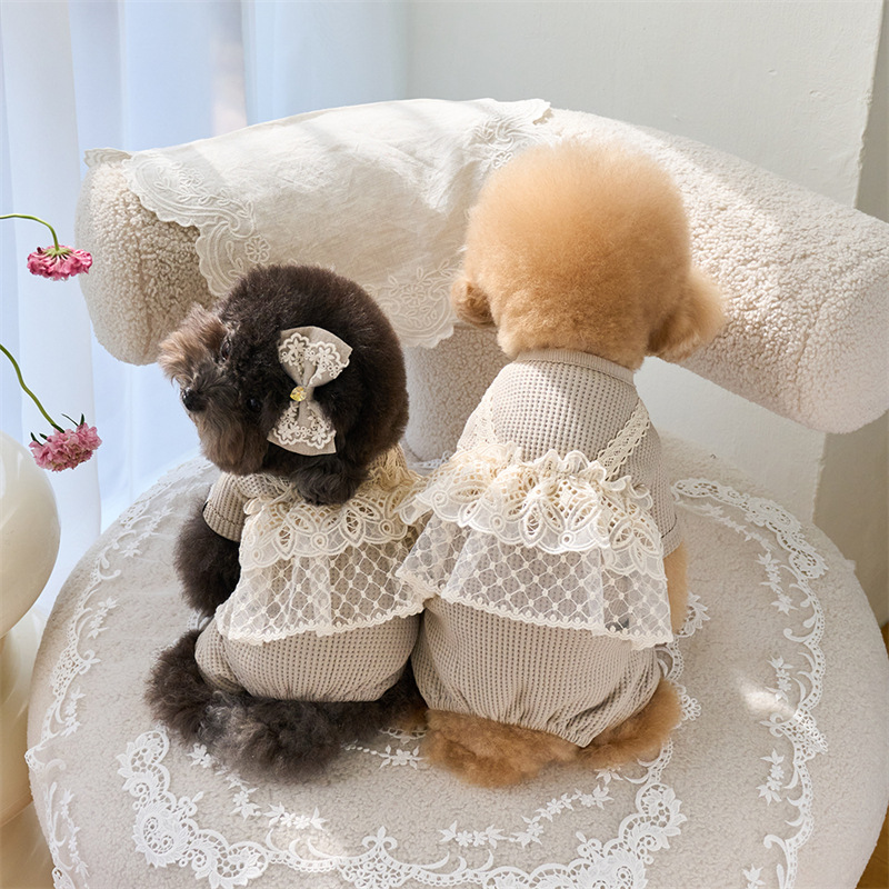 Pet Spring Jumpsuit Cute Lace  – Lace Teddy Lingerie Bewertung und Preis