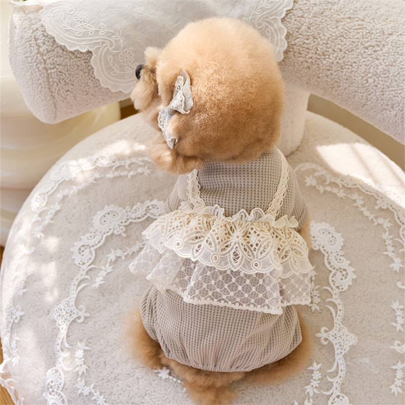 Pet Spring Jumpsuit Cute Lace  – Lace Teddy Lingerie Bewertung und Preis